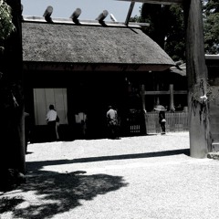 The Sky Was Blue And Cloudless And The Acorns Sparkled Beautifully - #3109 By Chair House 06192022