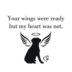 PET LOSS.