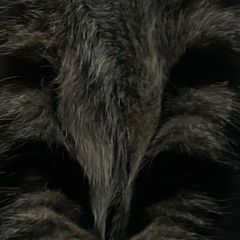 u dont want u 2 demo.m4a