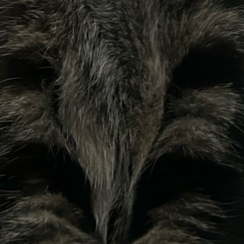 u dont want u 2 demo.m4a