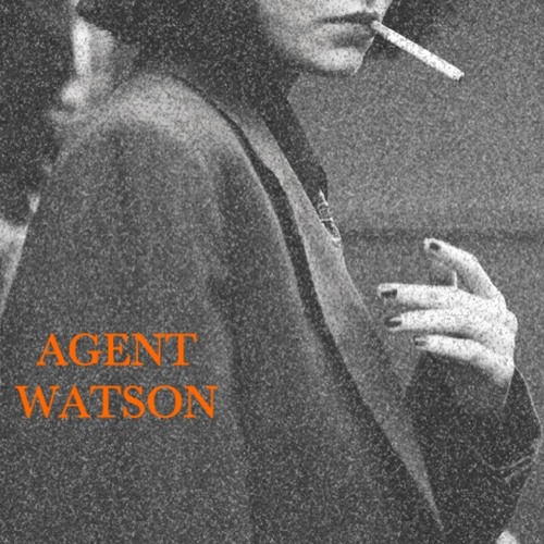 Agent Watson