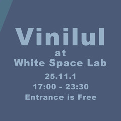 Vinilul 251101现场