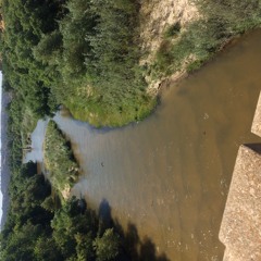 Devil Woman You Done Me So Wrong