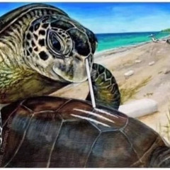 SEGGLYUK SZAKITO CORONITA [Beltran - Smack yo & Cosmonov - The Light & Master at Work