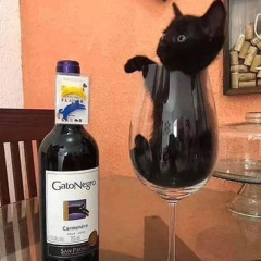 zai - wattyou fuckin heard? Prod feardorian