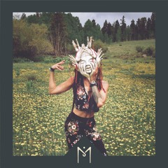 Mike Rauss - Flowers