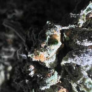 Le béguin pour Romance Dawn - OG Call (14.03.23)