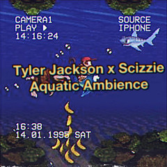 Tyler Jackson x Scizzie - Aquatic Ambience (Lofi Hip Hop Remix