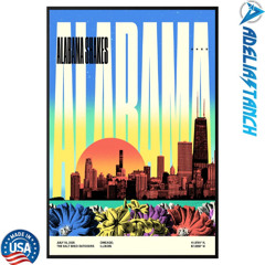 Alabama Shakes July 15 2025 The Salt Shed Outdoors Chicago, IL Poster