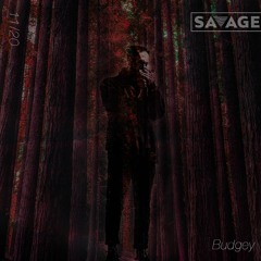 Savage Sessions | 13 | Budgey (AU)