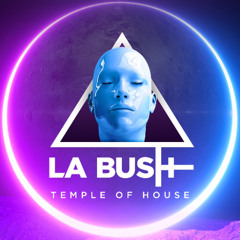 La Bush: Memories From the Temple of House 4 (2025)