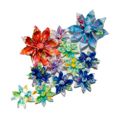 flower blossomed