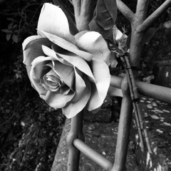 [Free] "nostalgia" guitar boombap x real boombap x emotional boombap type beat [prod rbobeats_lh]