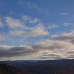 Organic picks from 2025