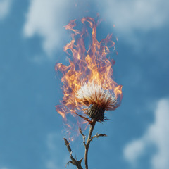 El espacio en que no estás