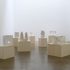 Interview Adam Colton 2025