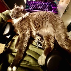 Haunted House (slugwurf)