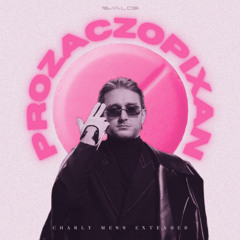 PROZACZOPIXAN (Charly Mess Club Extended Mix)