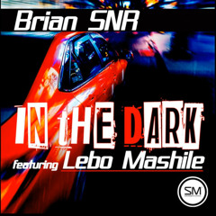 Brian SNR - In the Dark