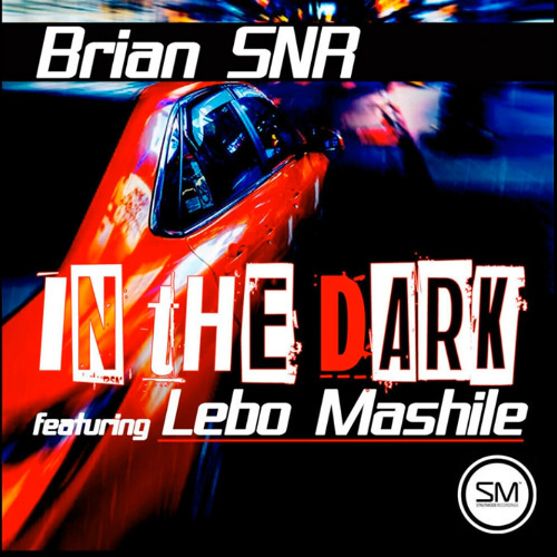 Brian SNR - In the Dark
