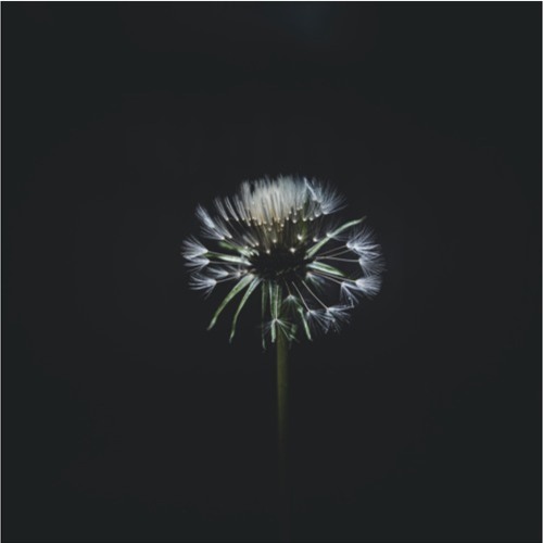 Feeling - 5