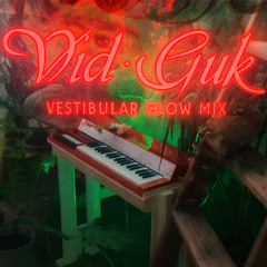 Vestibular Glow Mix at VID•GUK 28.06.2025