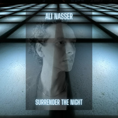 Surrender The Night