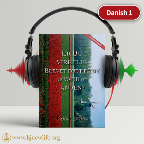 Ch07_Jesu Dåb er Prototypen på Frelse for Syndere