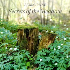 Bjørn Lynne - Secrets of the Meadow (Meditative, Pastoral, Soothing)