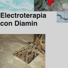 Matias Aguayo presents Diamin (Buenos Aires) — Electroterapia 14