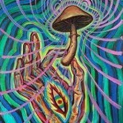 Trippin - Deadbeats4u