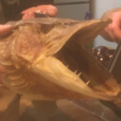 R.S.T. - #идроПон