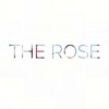 THE ROSE - Thinking Out Loud (Original Song by Ed Sheeran) and Sorry