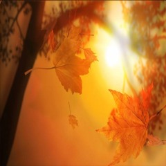 Ibn Azam - After Summer (You Rise Again)