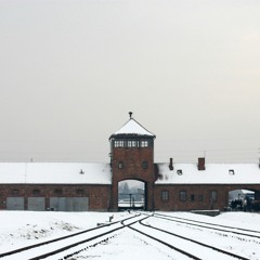 The Nazi Experiment, Vol. 1: The Nazi Racial Worldview
