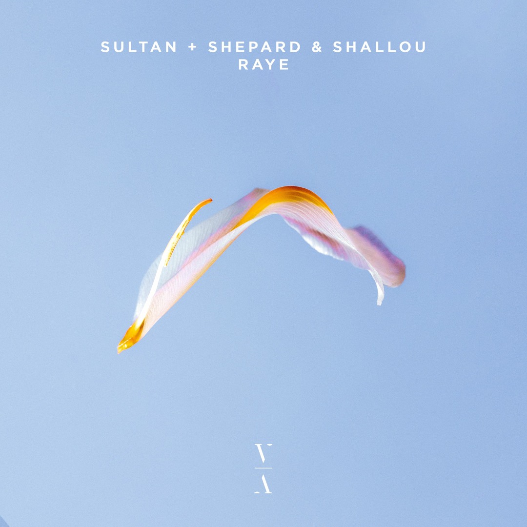 Stream Sultan + Shepard & Shallou - Raye by This Never Happened ...