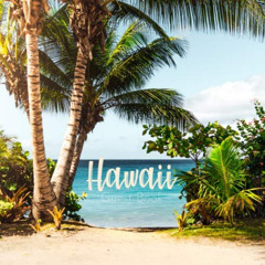 [READ] EPUB 📕 Hawaii Guest Book: An Ideal Guest Sign In Book For Airbnb Vacation Hom
