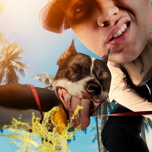 WIU - Pitbull 🐶🖕