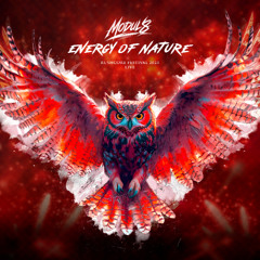 Modul8 I Rushcore Festival 2025 I Saturday I Energy Of Nature