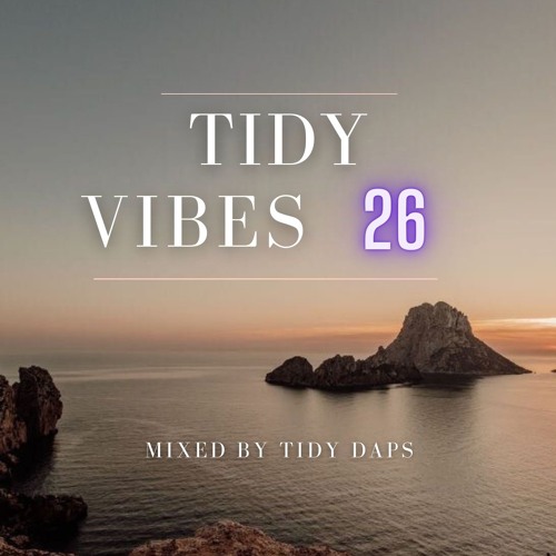 Tidy Vibes vol. 26