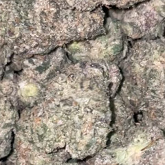 ovagas ft pushweight556