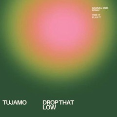 Tujamo - Drop That Low (Gamuel Sori Remix)