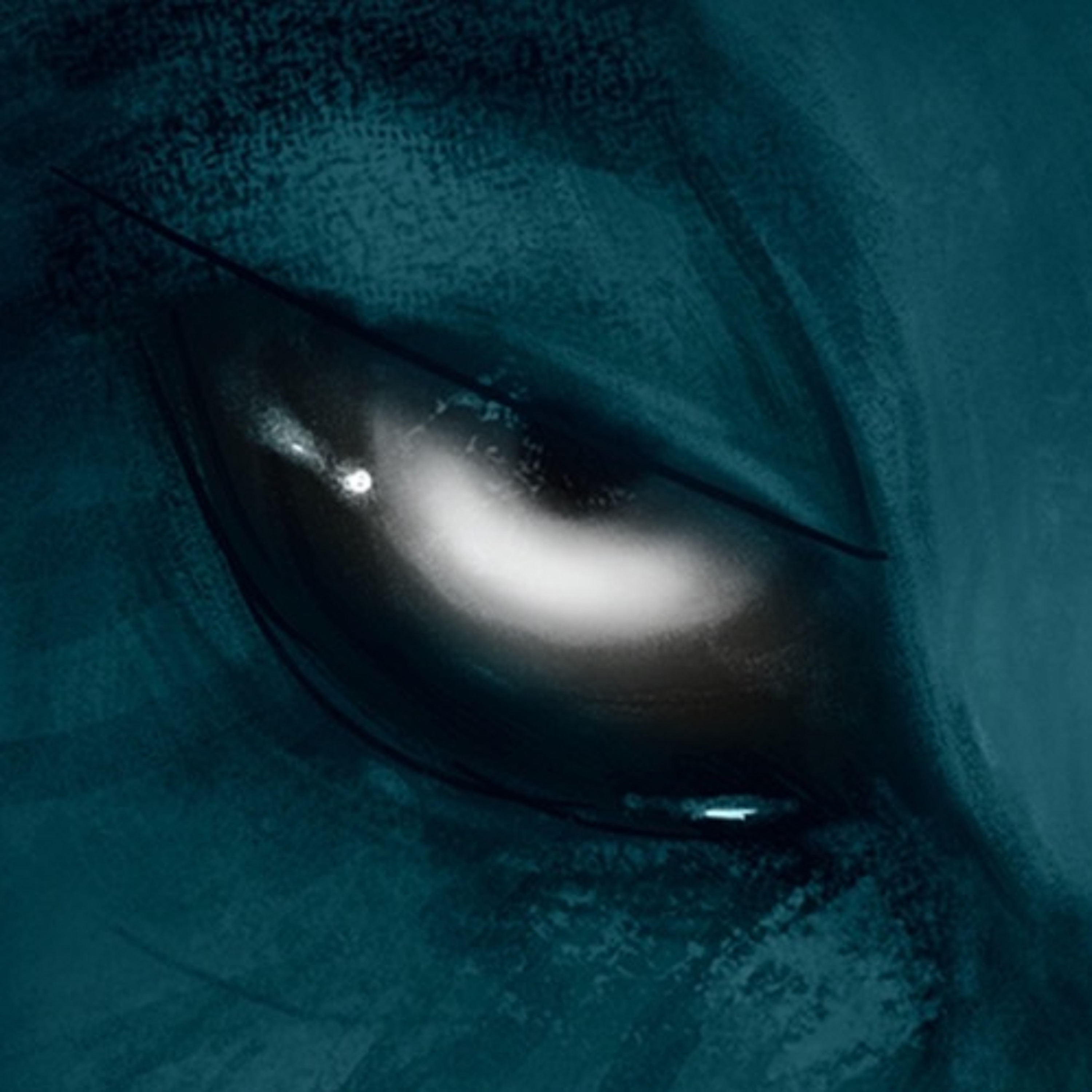 13 - Fusione episode artwork