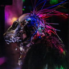 Ritual Tech