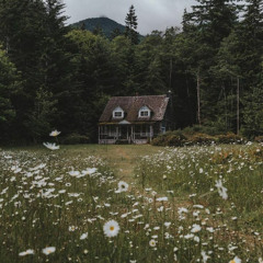 where did my home go? ( prod. Backgroundbeat )