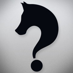 Mr.Wild - TricKQuestion