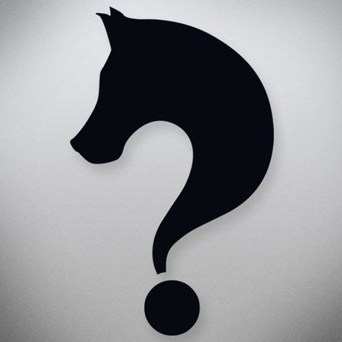 Mr.Wild - TricKQuestion