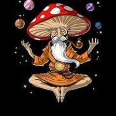 trip👽