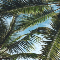 scottie's snacks vol. 1