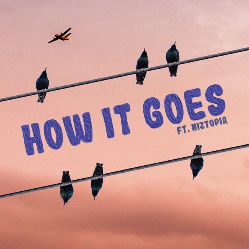 how it goes (ft. niztopia)